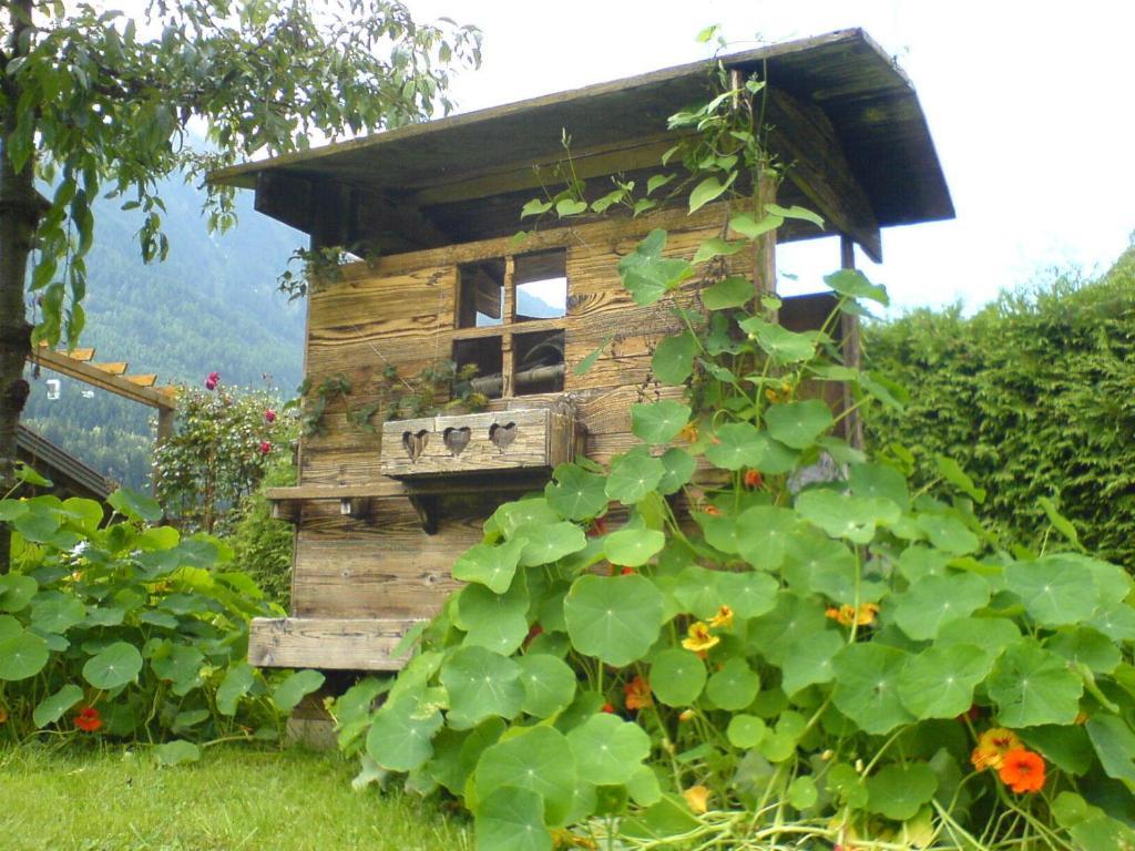 Haus Elfi Fiegl Lägenhet Oetz Exteriör bild
