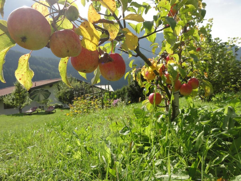 Haus Elfi Fiegl Lägenhet Oetz Exteriör bild